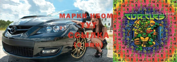гашик Куйбышев