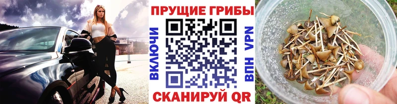Псилоцибиновые грибы MAGIC MUSHROOMS  Купить закладки  Аша 